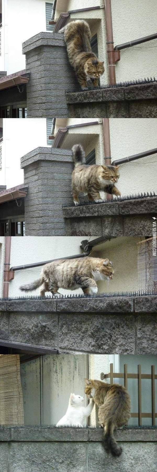 Love+hurts.+That%26%238217%3Bs+the+most+romantical+thing+I%26%238217%3Bve+ever+seen.