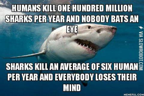 Sharks+vs.+Humans