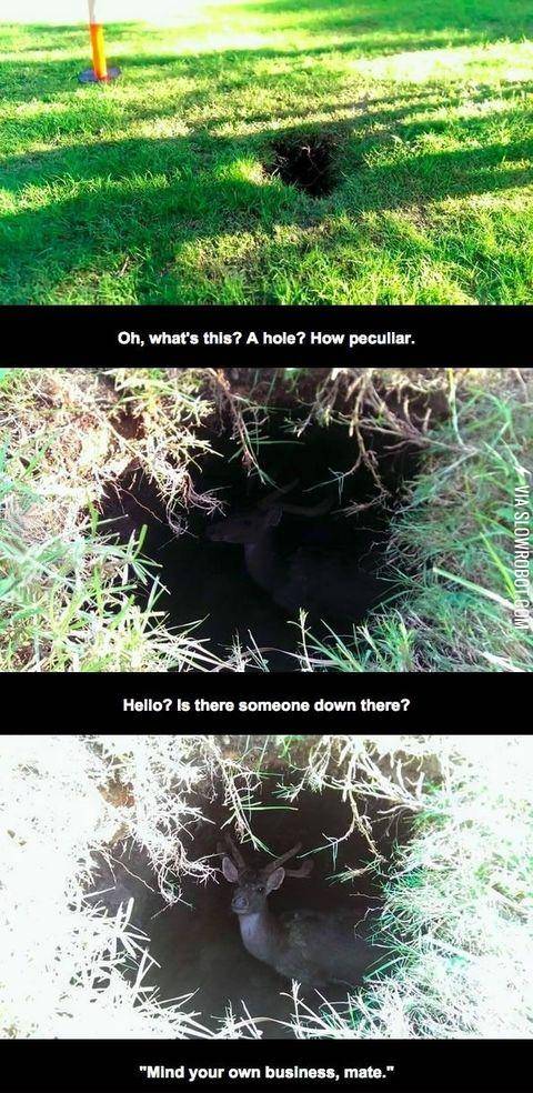 Something+weird+in+a+burrow