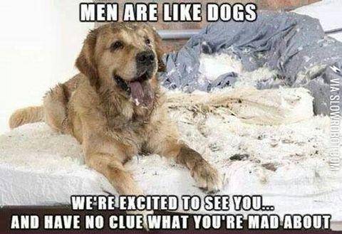 Men+%26amp%3B+dogs