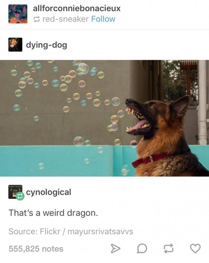 His+hoard+is+thousands+of+rubber+steaks.