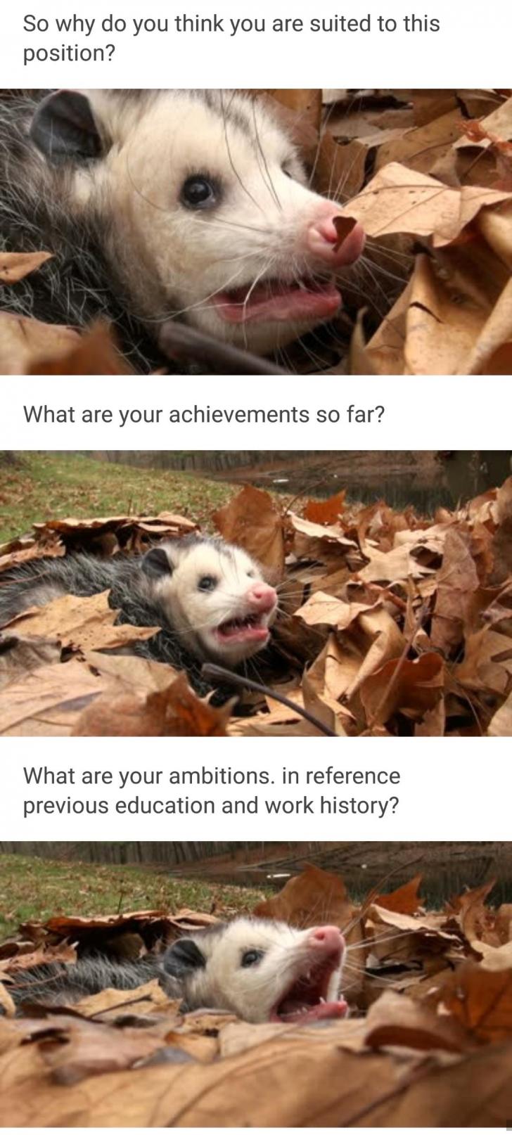 24+and+still+not+feeling+like+an+adult