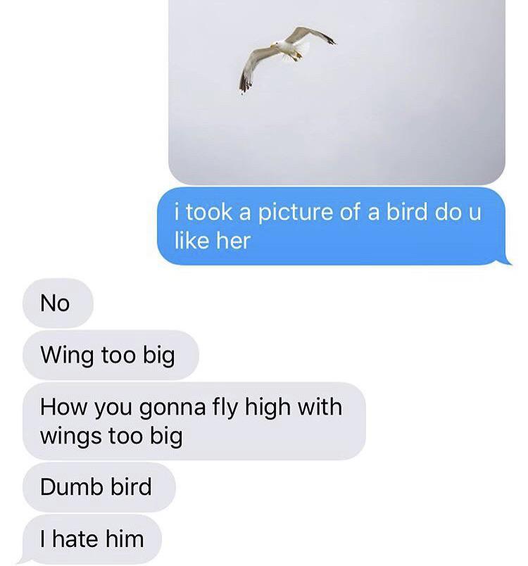 wing+too+big