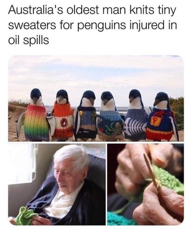 Bless+his+whittle+fingies.