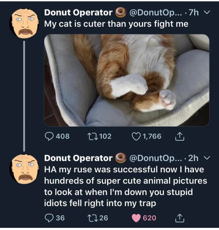 Completely+bamboozled