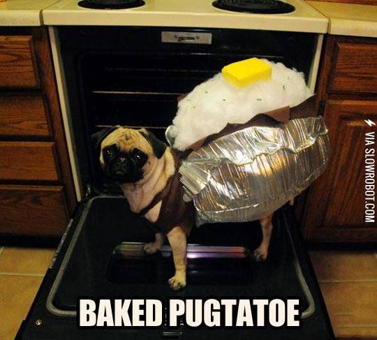 Baked+Pugtatoe.