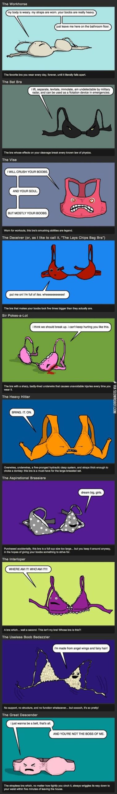All+the+bras.