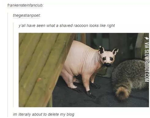 Wow+i+really+did+not+expect+that