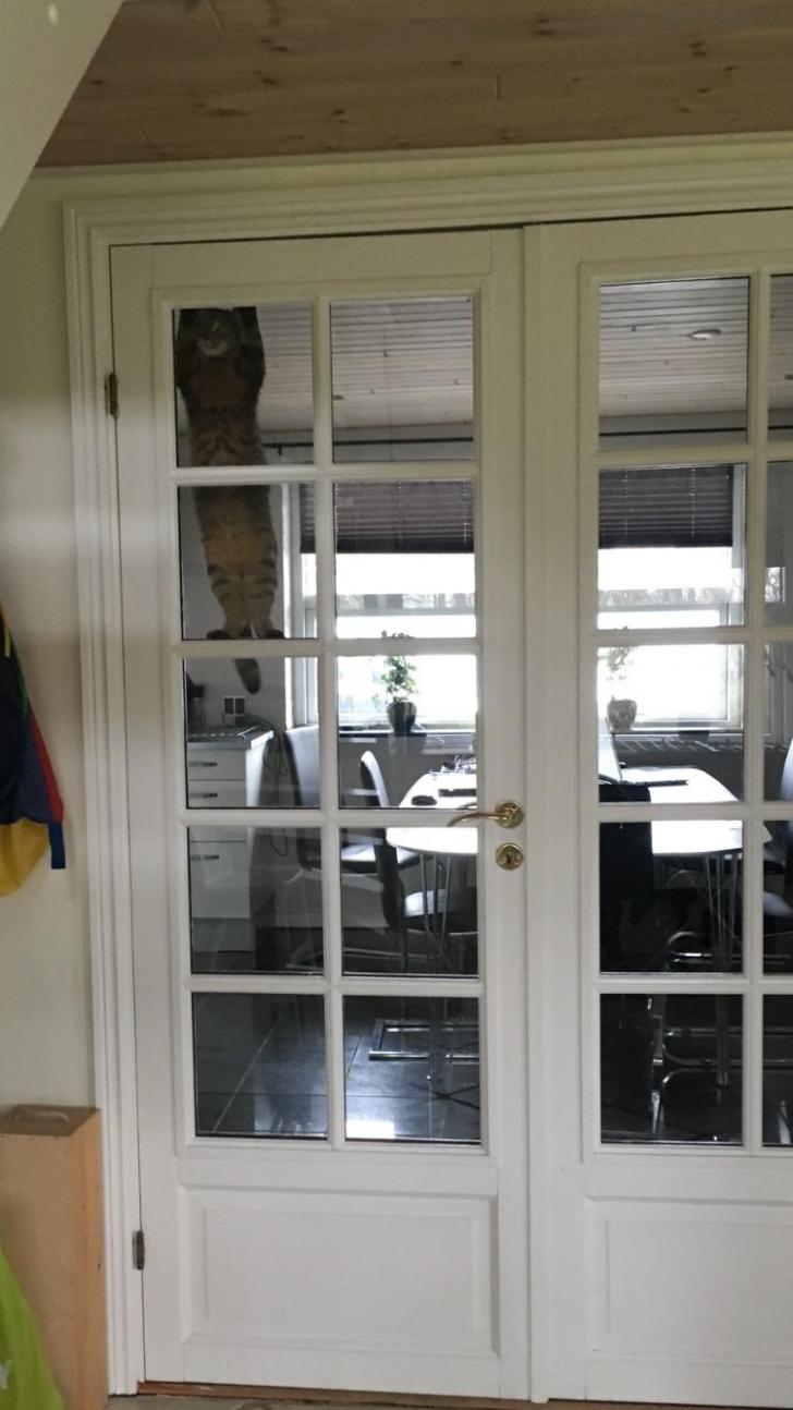 Heard+weird+noises+from+downstairs