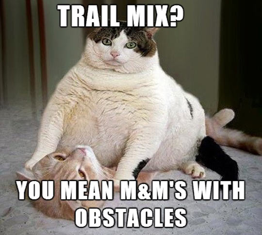 I+love+trail+mix.