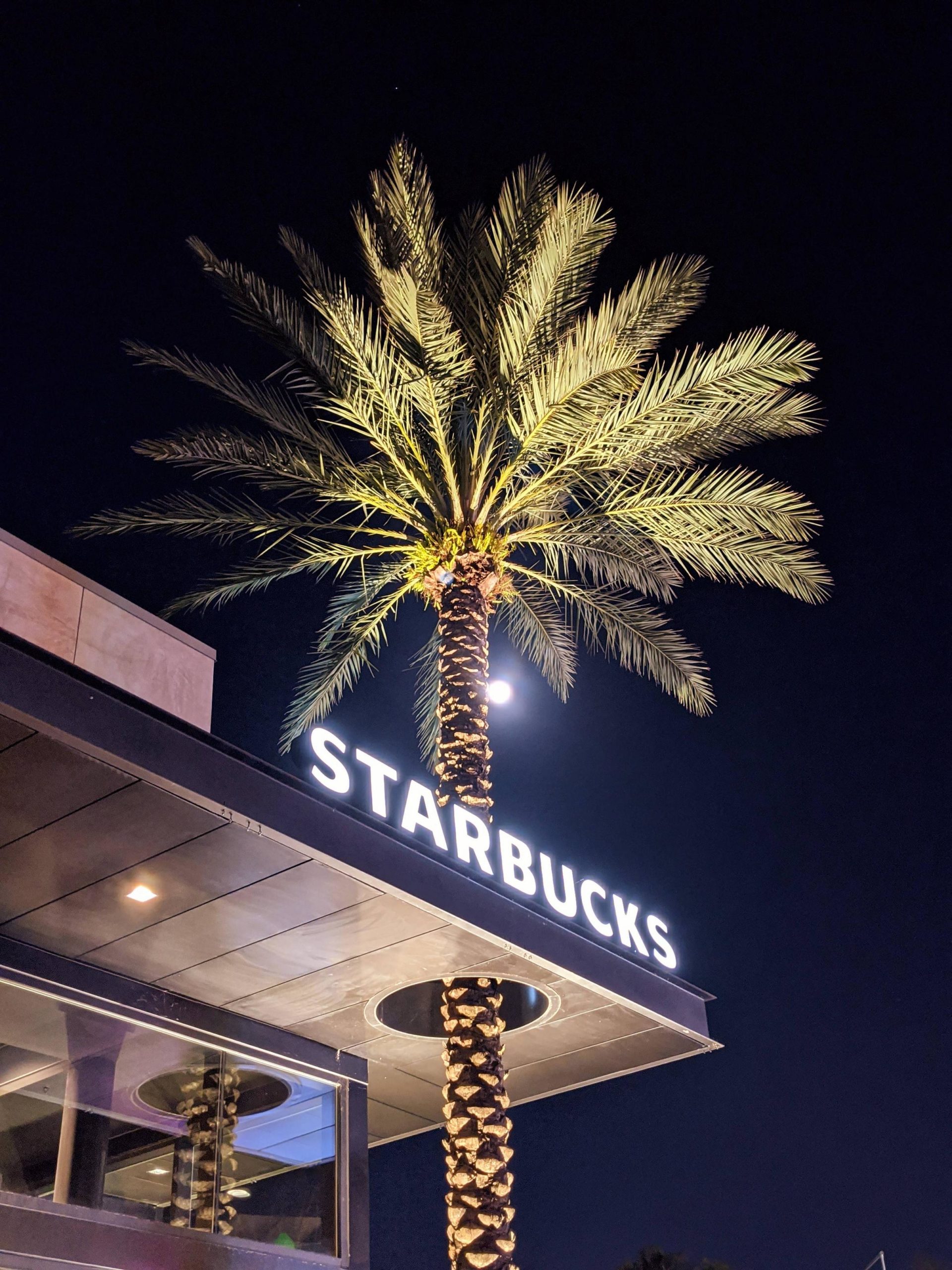 Starbucks+cares+about+the+environment%2C+apparently.