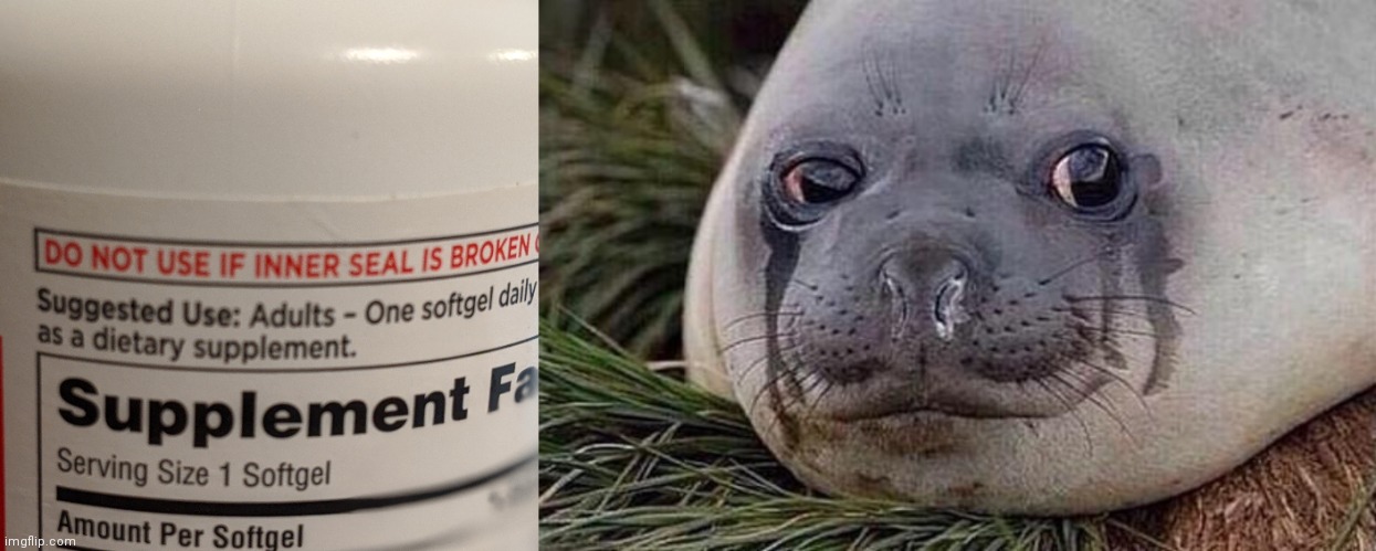 OK+but+who+fixes+the+seal+%3A%2F