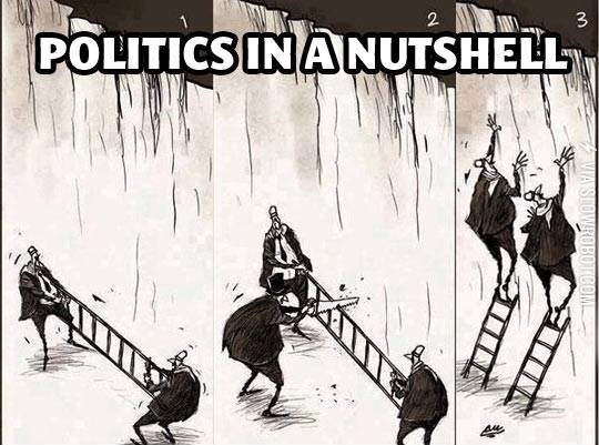 Politics+in+a+nutshell.