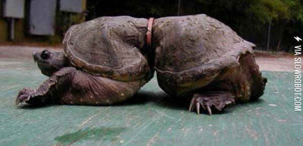 What+happens+when+you+litter.