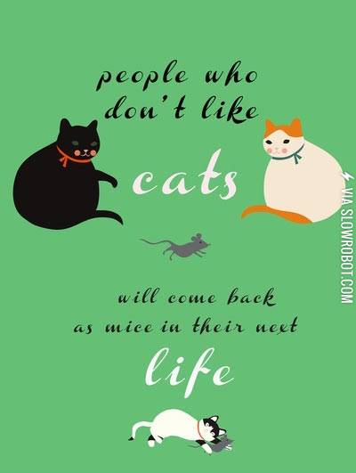 People+who+don%26%238217%3Bt+like+cats%26%238230%3B