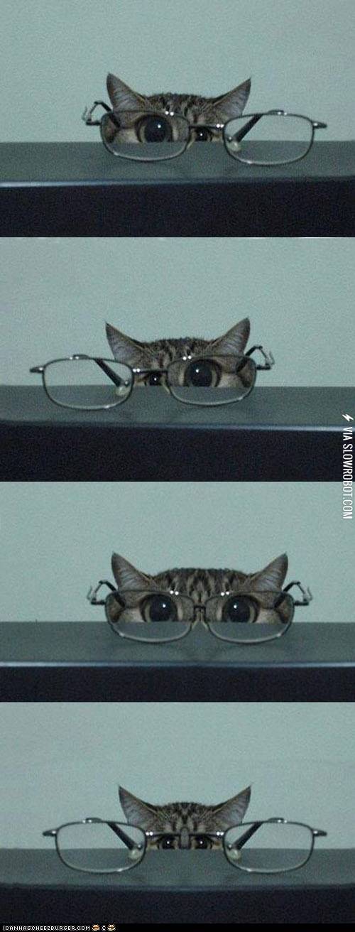 O.o+%2F+o.O+%2F+O.O+%2F+o.o