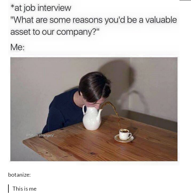 The+job+interview