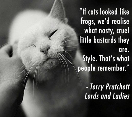 If+Cats+Looked+Like+Frogs