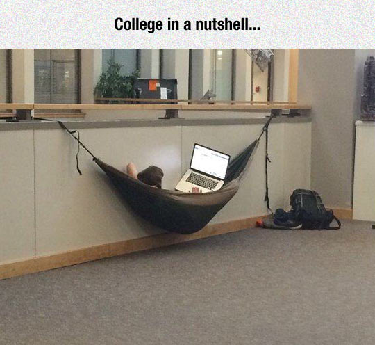 Here+We+See+The+College+Student+In+The+Wild