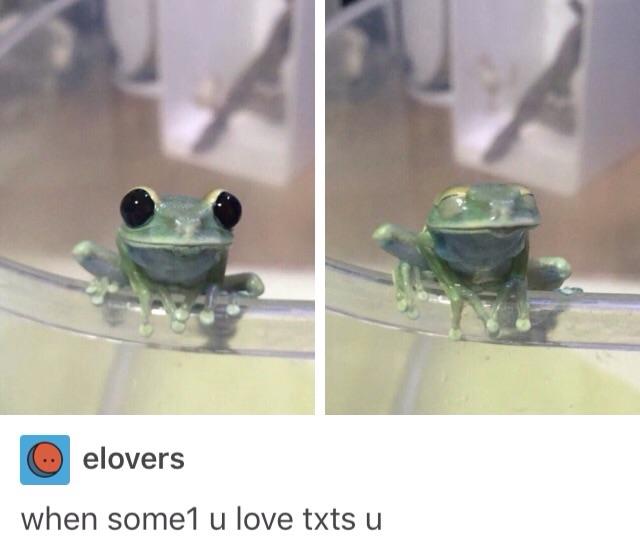 never+happens+though