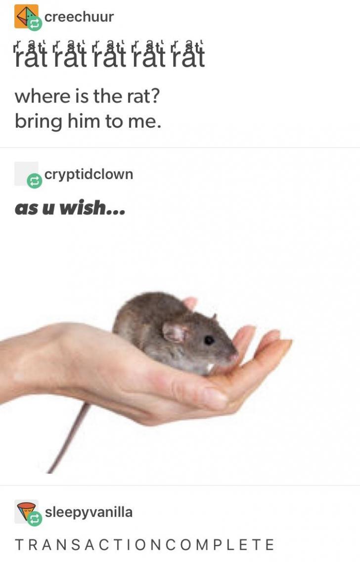 T+R+A+N+S+A+C+T+I+O+N+C+O+M+P+L+E+T+E