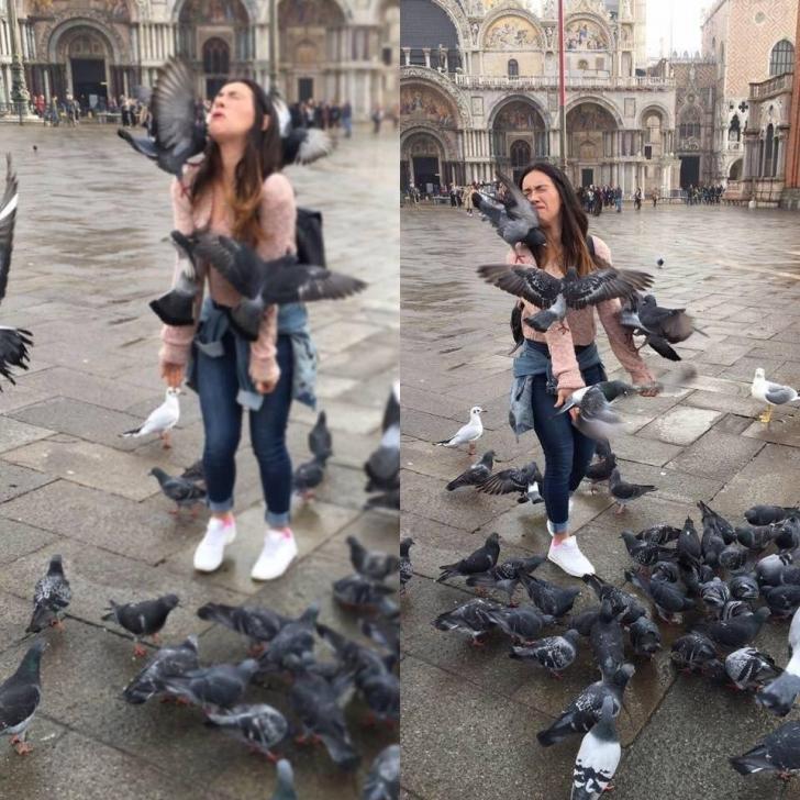 Let%26%238217%3Bs+get+a+photo+of+you+feeding+pigeons%21