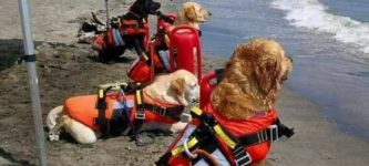 Lifeguards+ready+to+save+the+day+in+Croatia