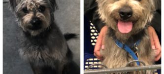 Before+and+After+adoption.+Three+hours+later.