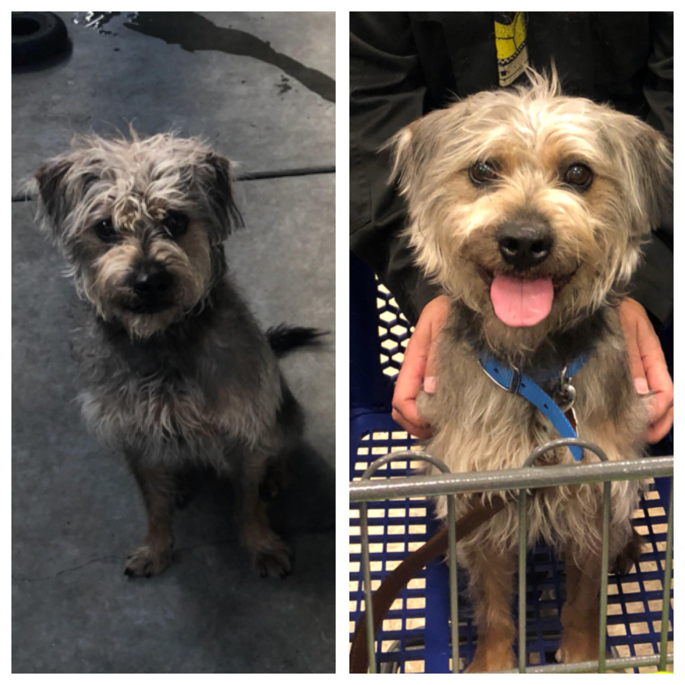 Before+and+After+adoption.+Three+hours+later.