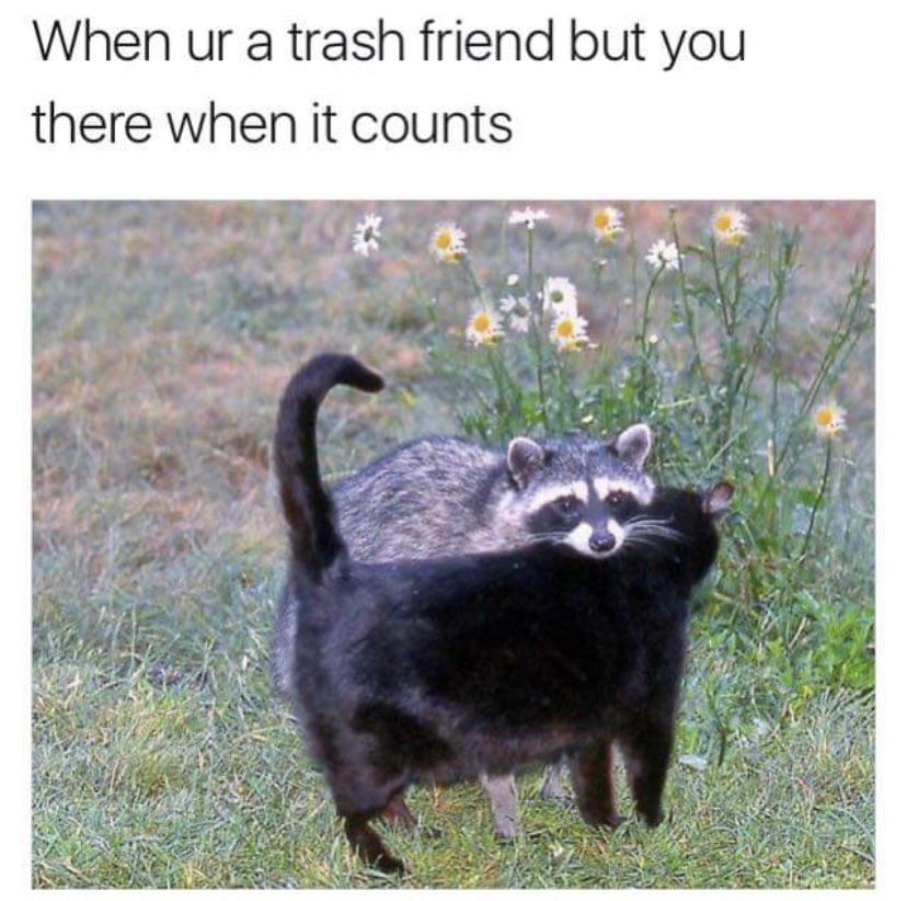 There+for+the+important+stuff.