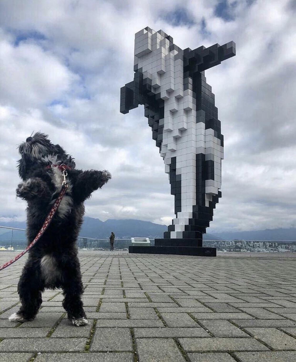 One+of+these+is+free+er+than+the+other%26%238230%3B++%23freethehound