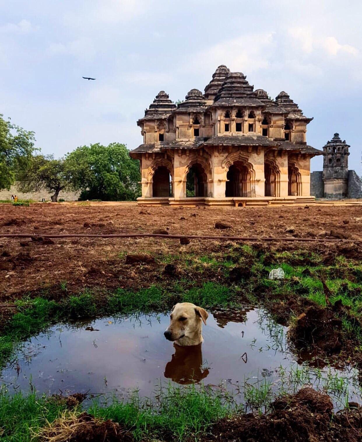 Oops%2C+wrong+wormhole.