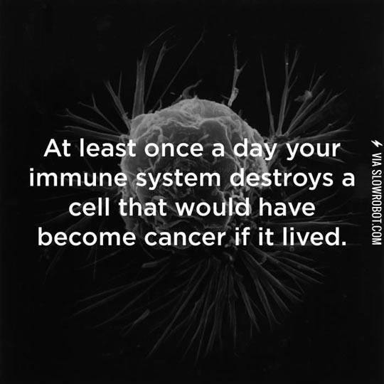 Good+Guy+Immune+System.