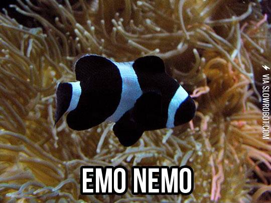 Emo+Nemo.