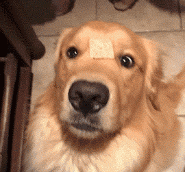 Trying+To+Find+Your+Glasses+And+They%26%238217%3Bre+On+Your+Face