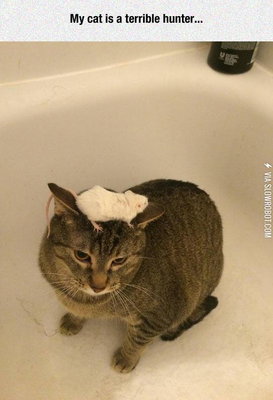 It%26%238217%3Bs+Close%2C+I+Can+Feel+It%26%238230%3B