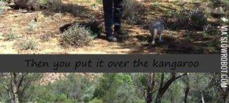 A+handy+guide+to+catch+a+kangaroo