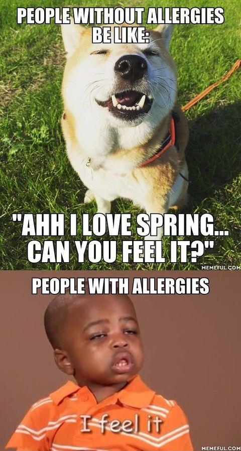 And+the+allergy+season+is+upon+us
