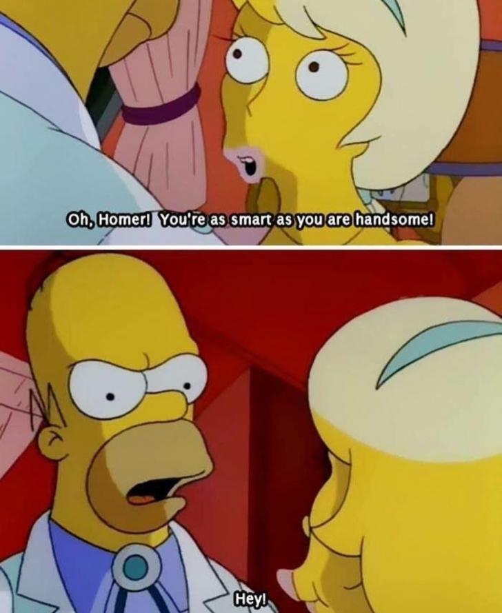 Homer+was+always+the+brightest+Simpson