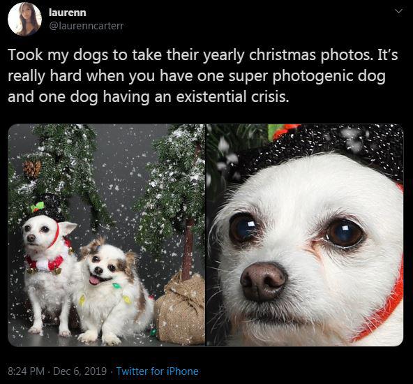 %2Aconcern+intensifies%2A