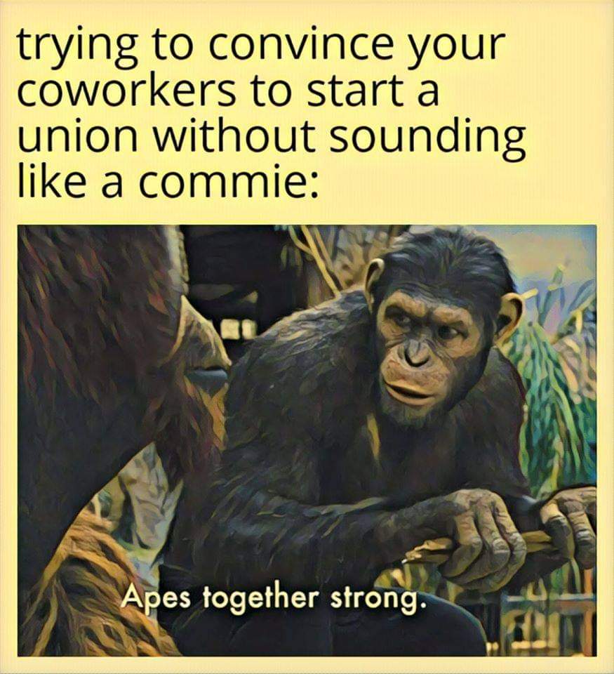 Apes+together+strong.