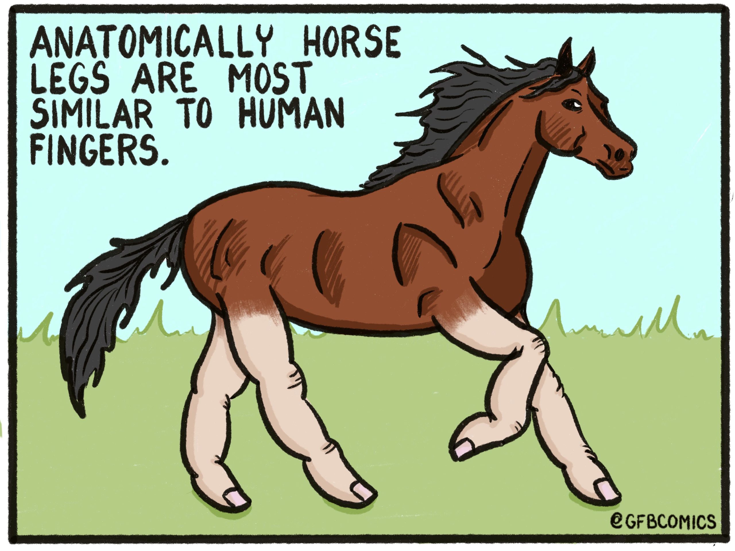 Horse+Fingers+go+clomp.