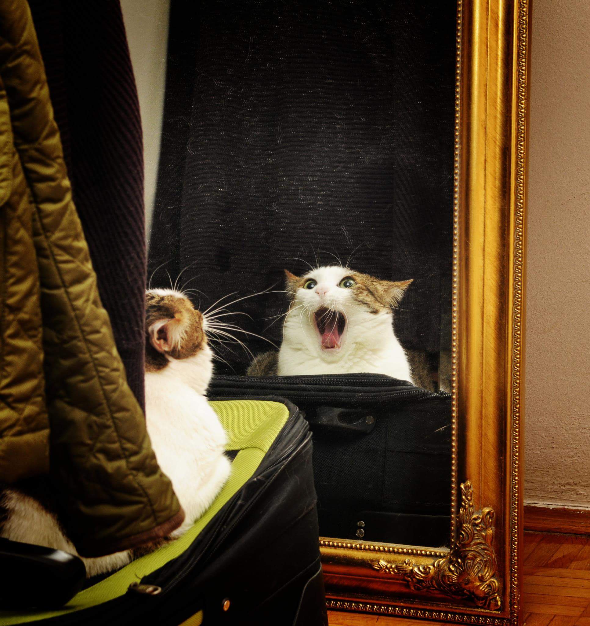 He+finally+found+himself.