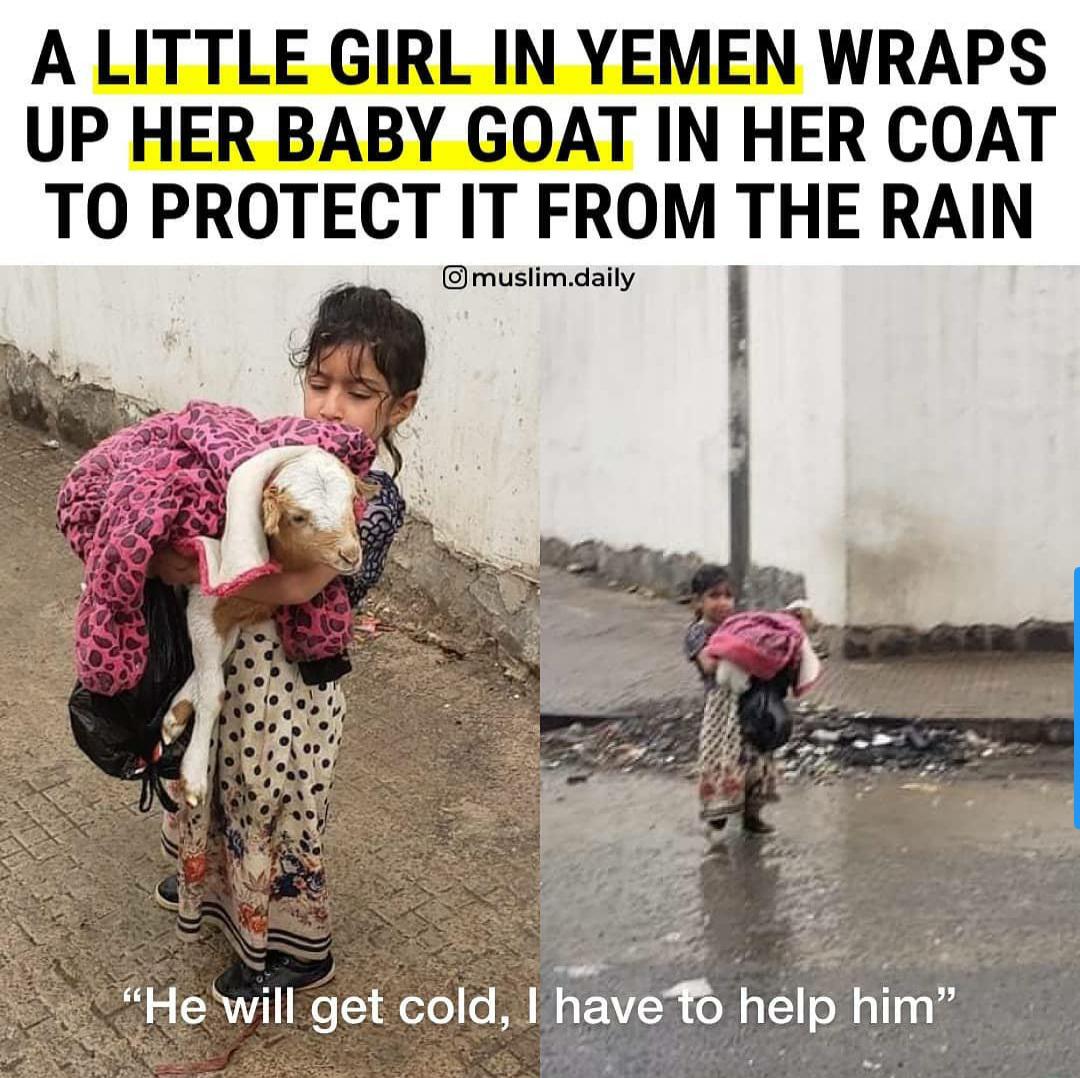 You+must+protec+the+goat.