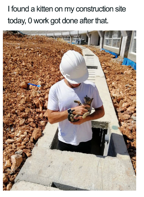 What+do+you+say+we+call+it+a+day%26%238230%3B%3F