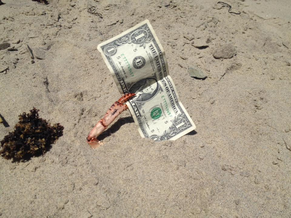 It%26%238217%3Bs+me+millionth+dollar%21+ARH+ARH+ARH+ARH+ARH