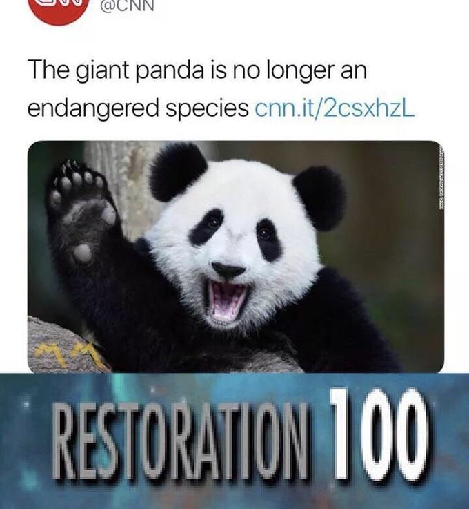 Long+live+the+Giant+Panda