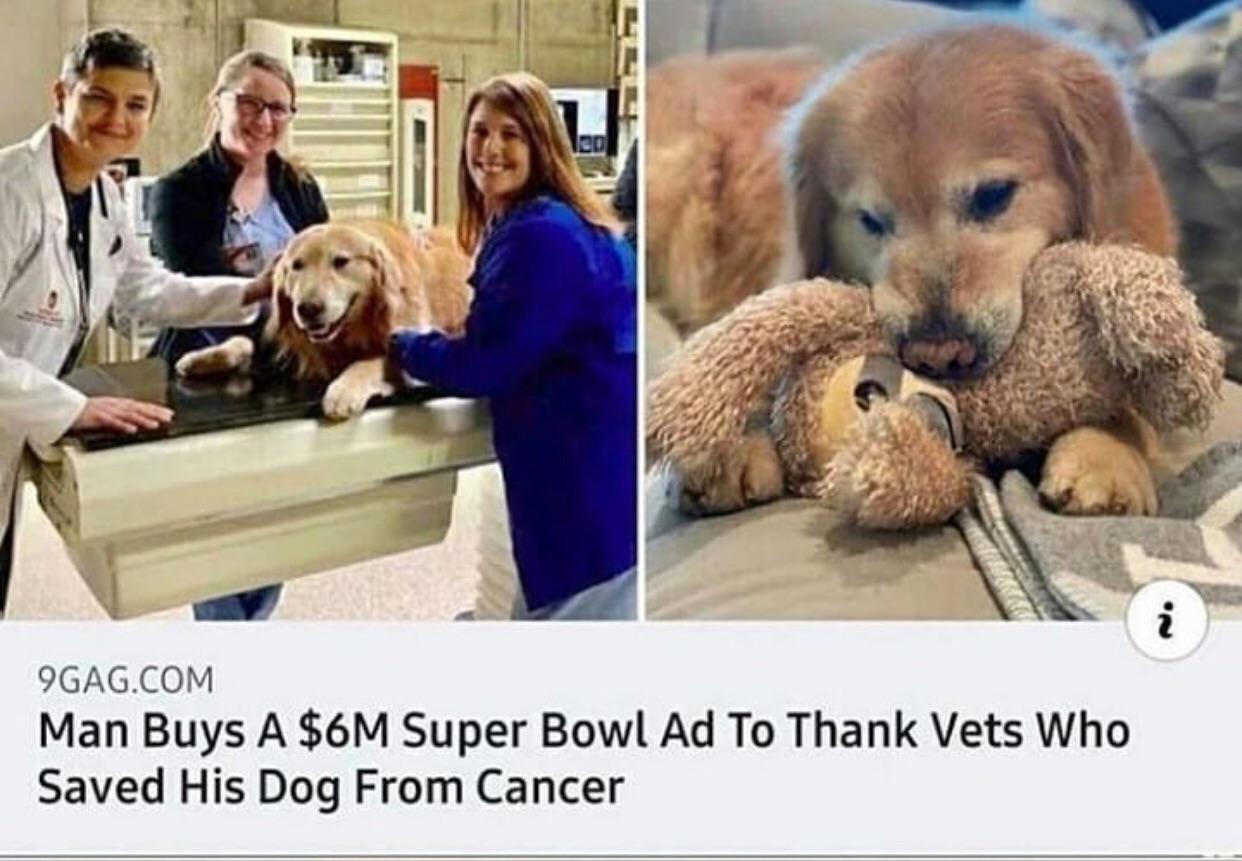 Wait+till+you+see+the+vet+bill%26%238230%3B