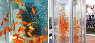 A+phone+booth+is+converted+to+an+aquarium+in+Japan.