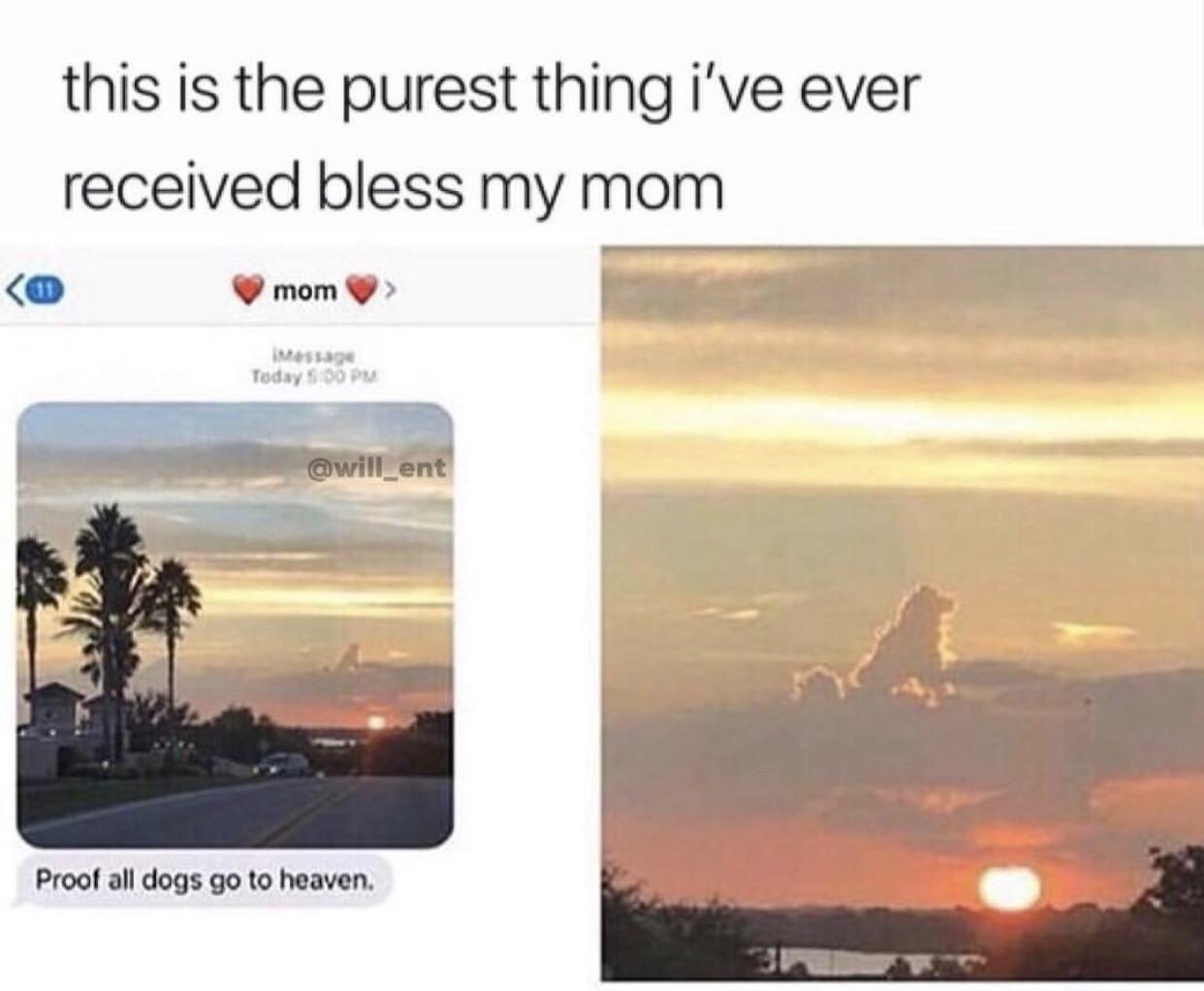 All+dogs+go+to+heaven